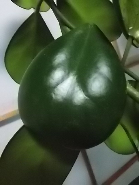 f0316507_20261445.jpg