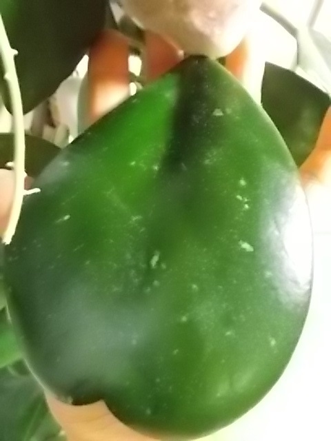 f0316507_20264361.jpg