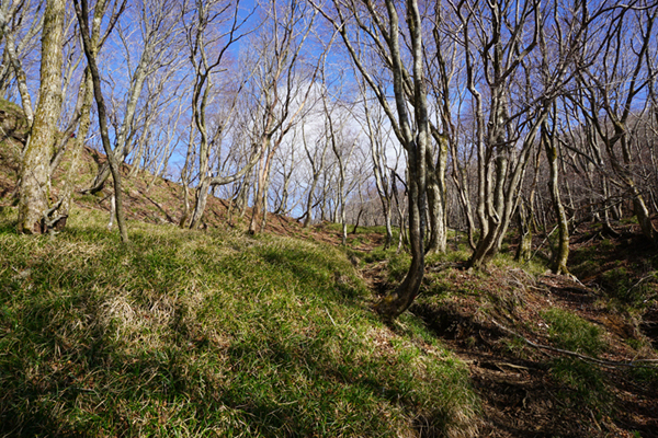 e0077010_20505772.jpg