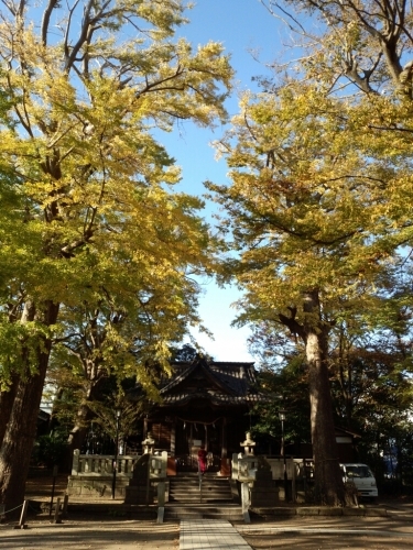 c0247314_11373152.jpg
