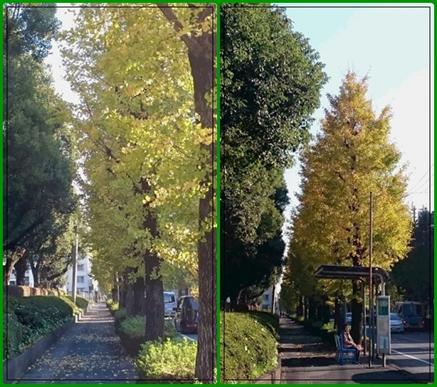 e0350415_20562925.jpg