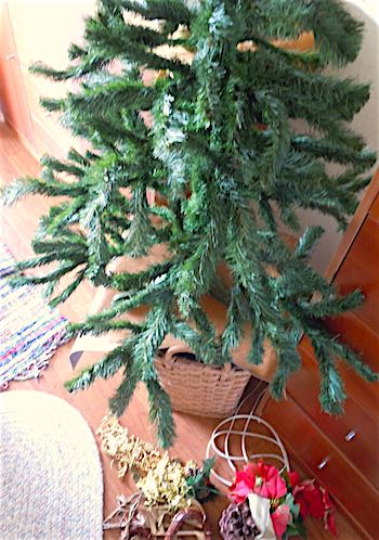 f0036716_132571.jpg