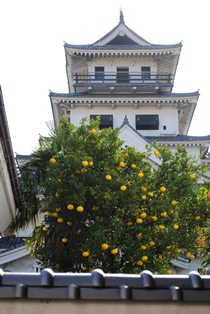 b0209919_22494722.jpg