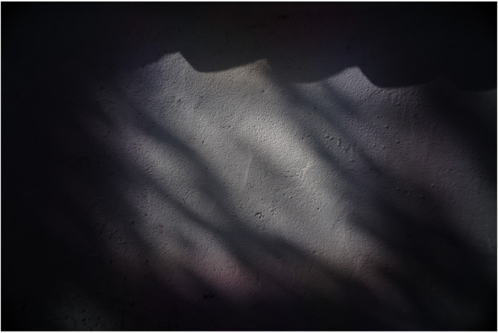 b0226423_141253100.jpg