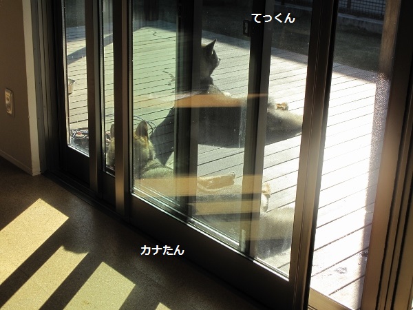 f0143123_10534483.jpg