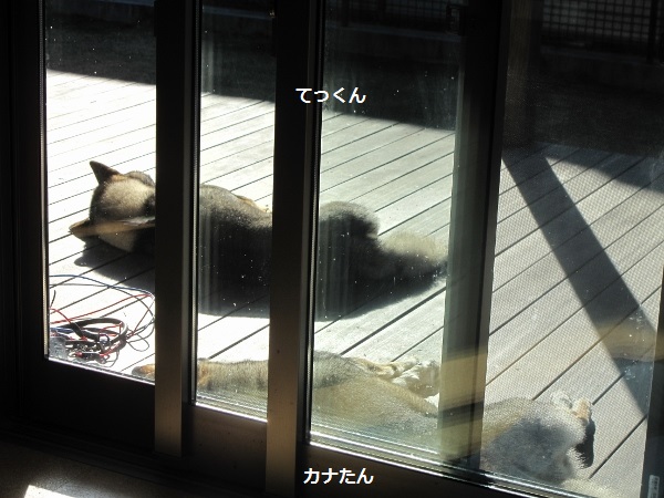 f0143123_10551439.jpg