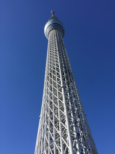 a0337029_11055069.jpg