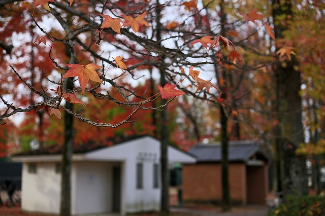 a0242438_20191551.jpg