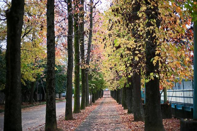 a0242438_2021531.jpg