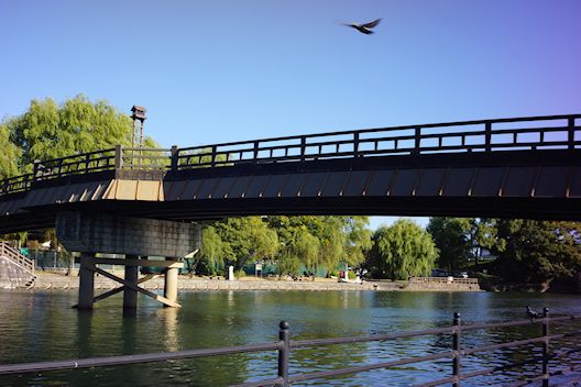 c0032138_20103844.jpg
