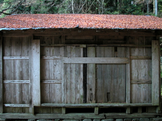 b0075140_01088.jpg