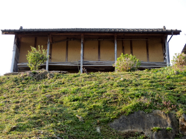b0075140_0111369.jpg