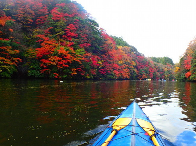 c0122670_23343297.jpg