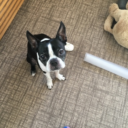 d0041575_23584163.jpeg