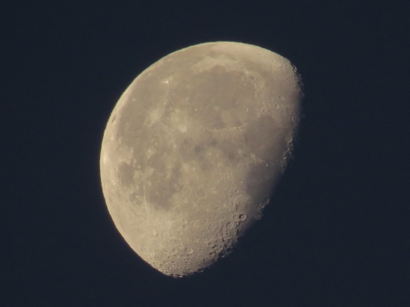 c0183777_1361561.jpg