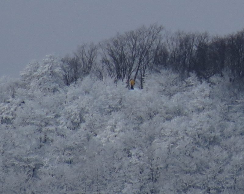 c0183777_139062.jpg
