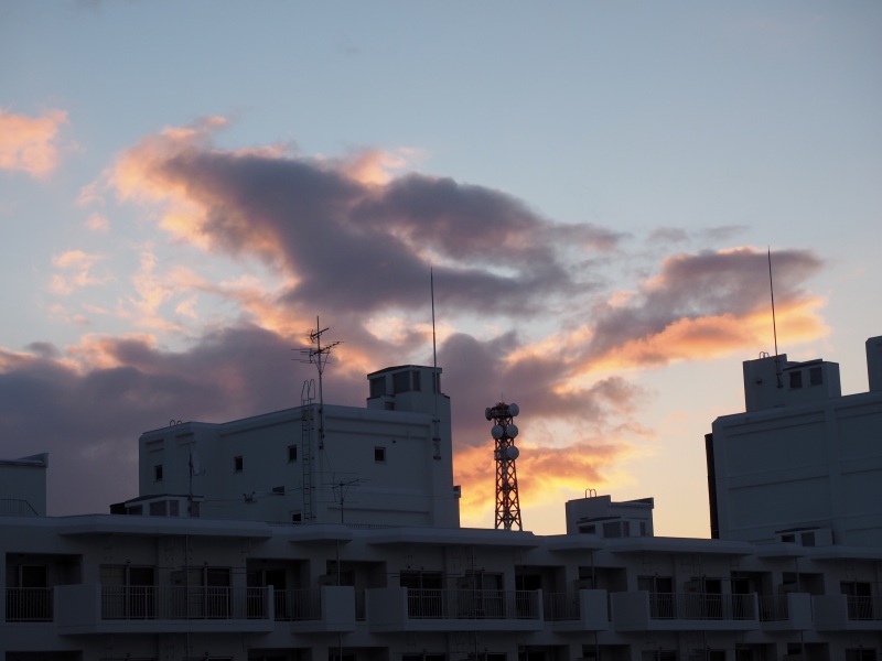 c0183777_1395522.jpg