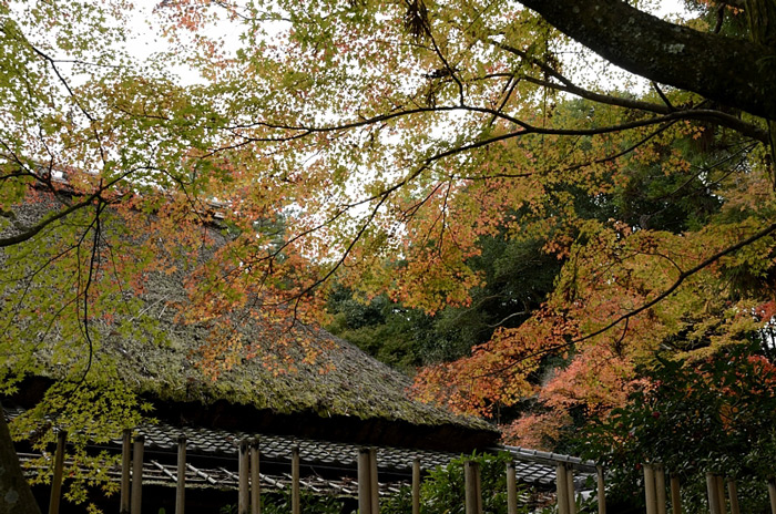 f0108478_17485551.jpg