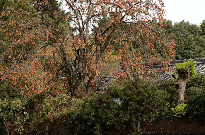 f0108478_1821313.jpg