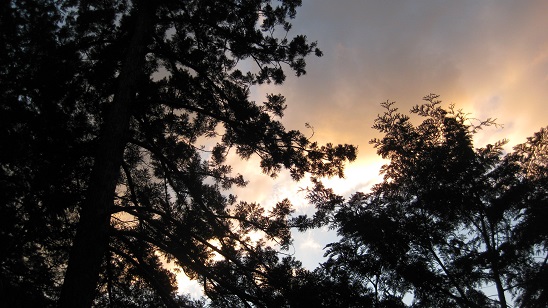 e0237580_13262534.jpg