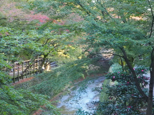 f0357183_18083629.jpg