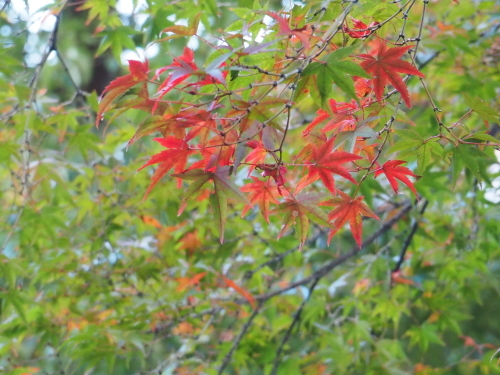 f0357183_18091515.jpg