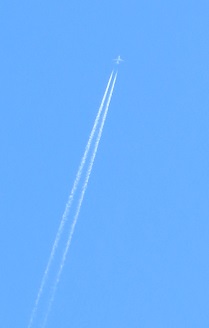 e0130185_19231817.jpg