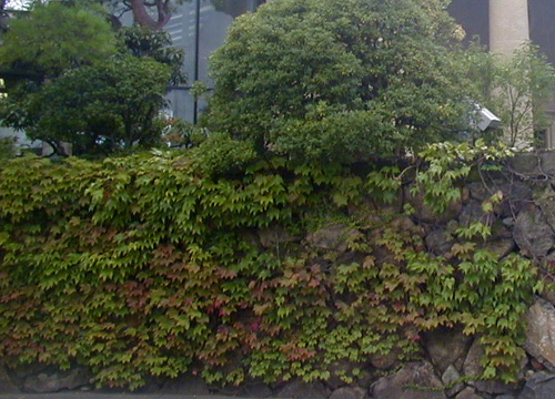 d0053294_0322457.jpg