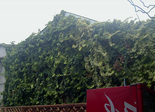 d0053294_032573.jpg