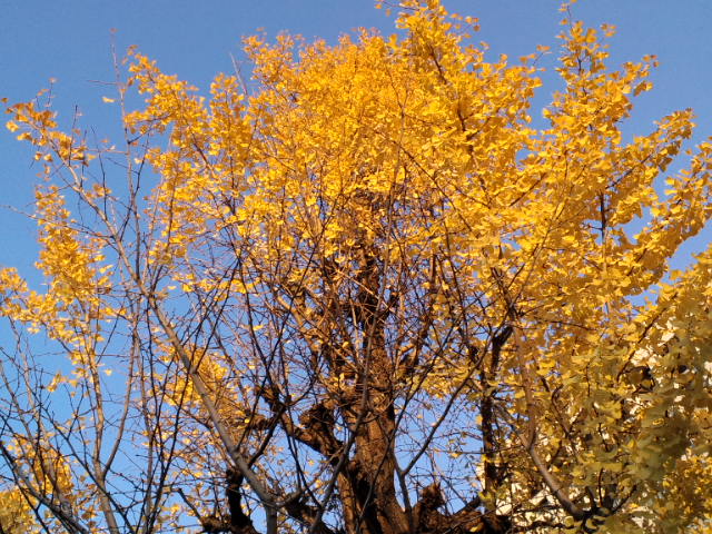 f0042295_16173380.jpg