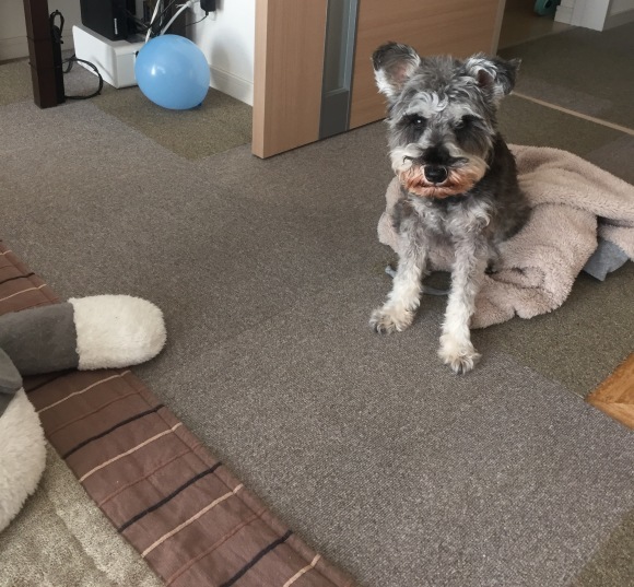 b0188998_23332950.jpeg
