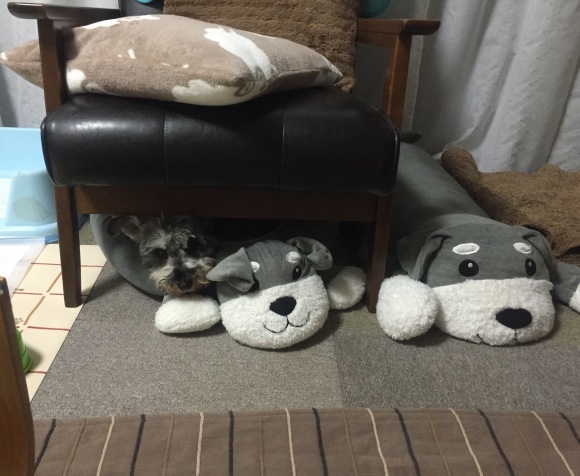 b0188998_23350452.jpeg