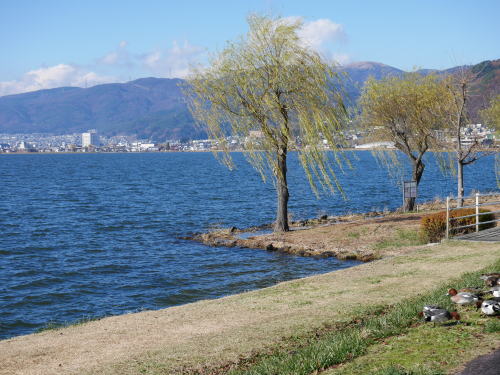 c0090198_206446.jpg