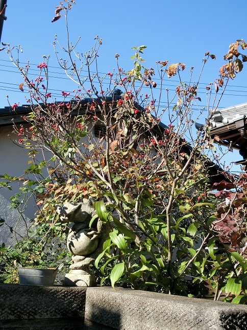 e0234004_2031586.jpg