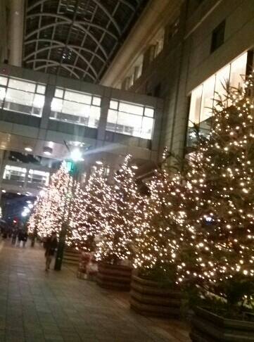 a0216805_08073584.jpg