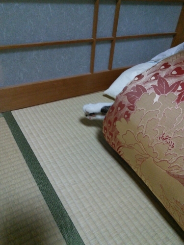 b0307008_08280117.jpg