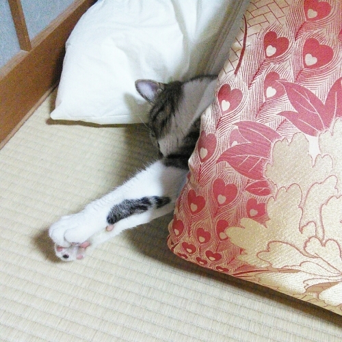 b0307008_08280456.jpg