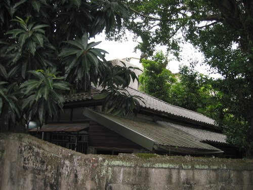 a0019212_1984661.jpg