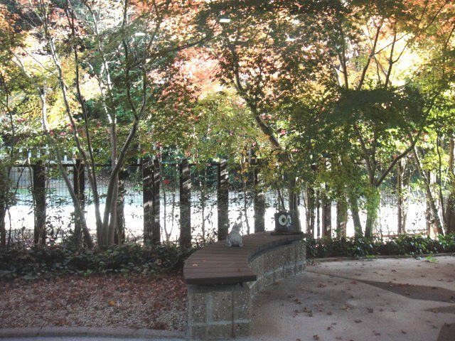 a0239418_14212879.jpg