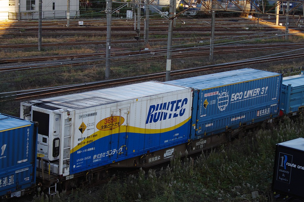 f0203926_23451623.jpg