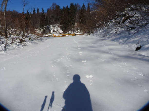 f0118332_23451347.jpg