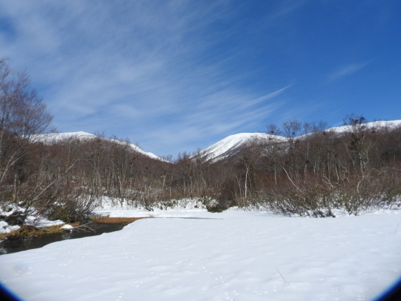 f0118332_23532820.jpg