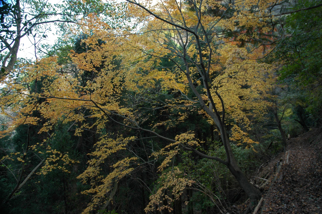 e0272335_1736401.jpg