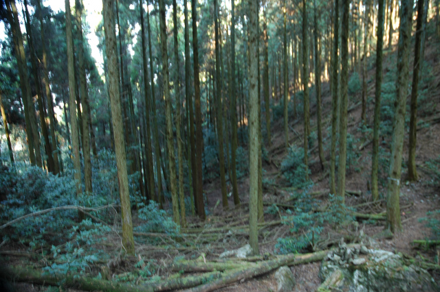 e0272335_17432691.jpg