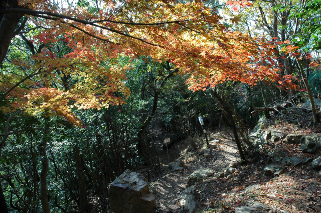 e0272335_17581573.jpg