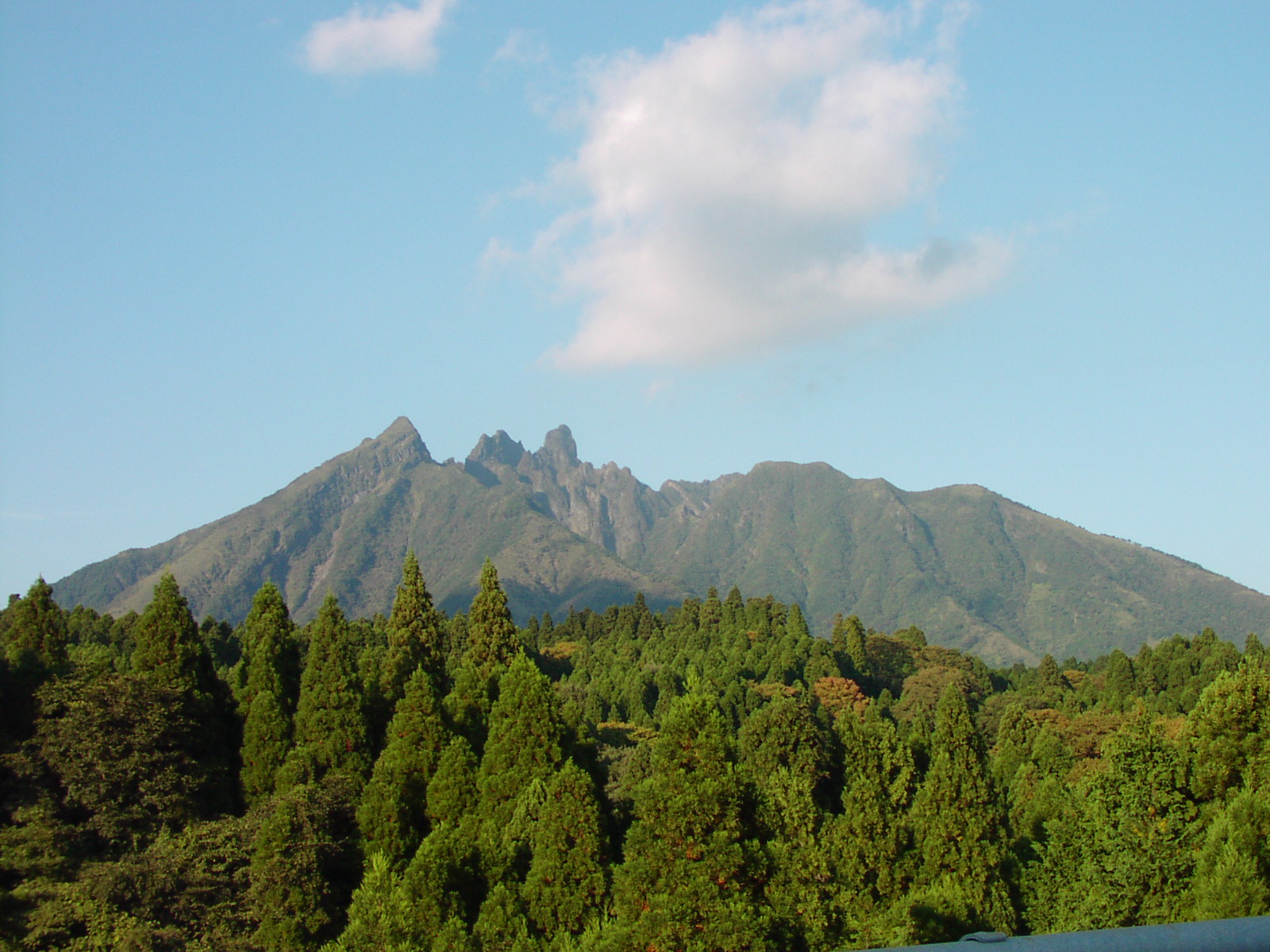 c0281841_13132471.jpg