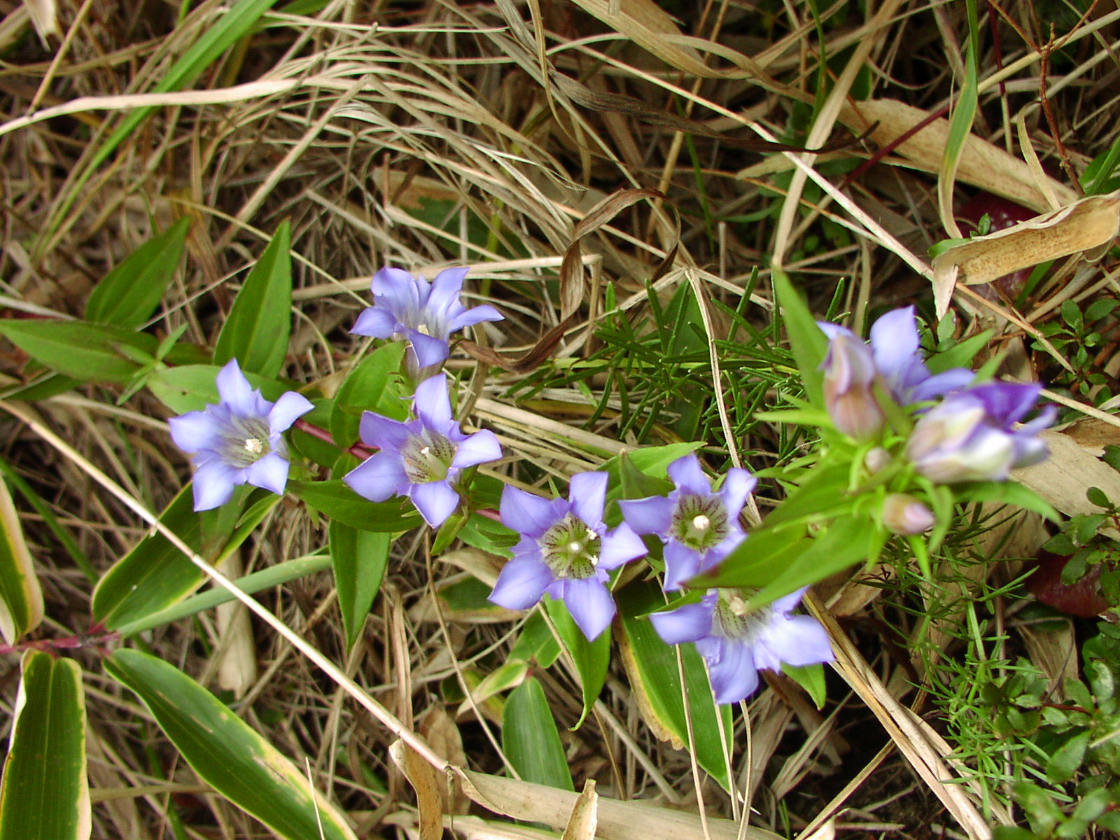 c0281841_13141763.jpg