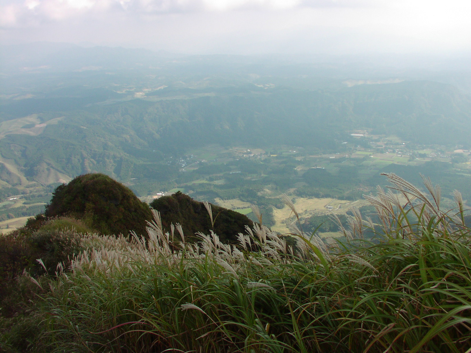 c0281841_131436.jpg