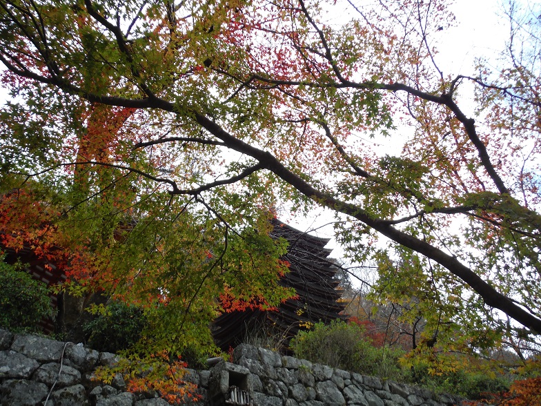 a0237349_11183170.jpg
