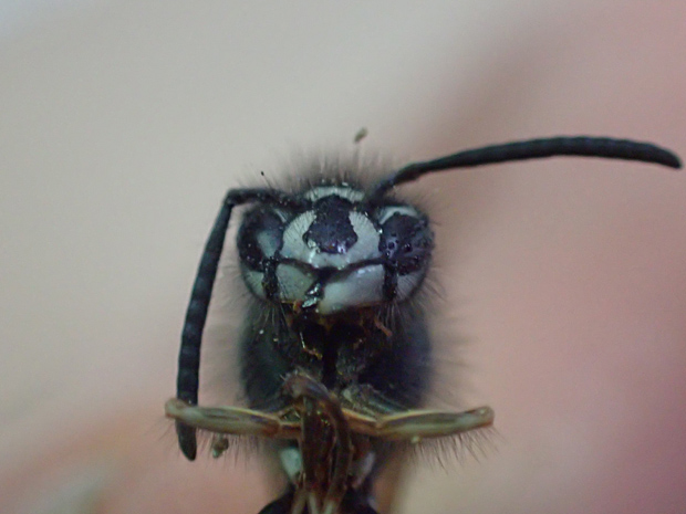f0214649_17392479.jpg